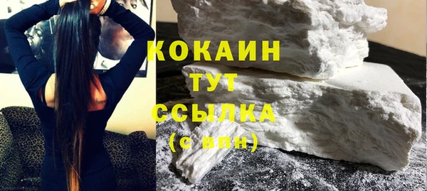 гидра Кодинск