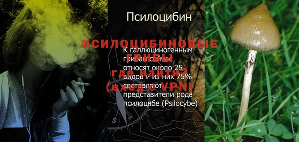 метадон Алексеевка