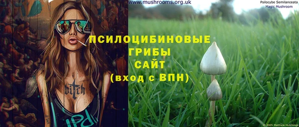 дурь Армянск