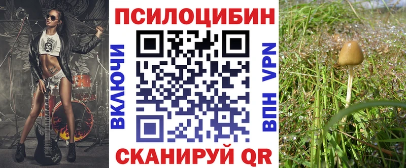 Псилоцибиновые грибы мухоморы  цены   Ак-Довурак 
